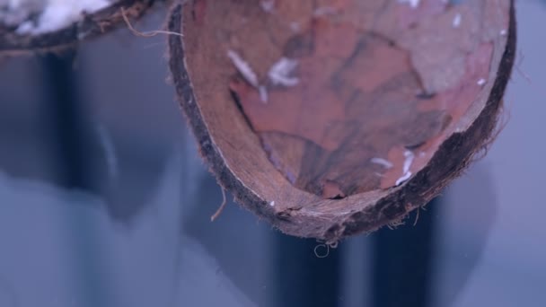 Mascarilla casera de virutas de coco en cáscara de coco sobre mesa de vidrio . — Vídeo de stock