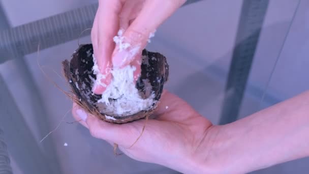 Mujer está mezclando el afeitado de coco con ingredientes en la cáscara preparando máscara natural . — Vídeos de Stock