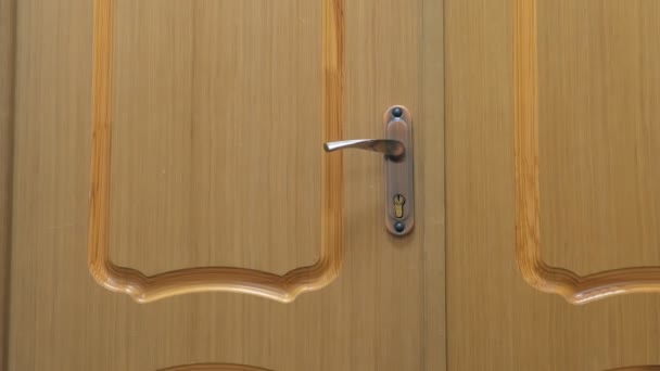 Wooden door with handle and lock, closeup view. — Stock Video