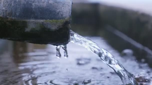 Lozing van vuil industrieel rioolwater in een Stadskanaal. — Stockvideo