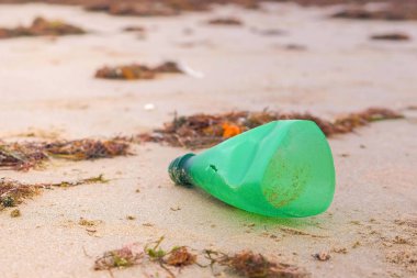 Plastik şişe parçası kumlu sahilde kıyıya getirildi.