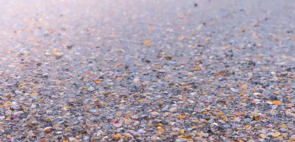 穏やかな海に小さな貝殻で砂浜に海の波. — ストック写真