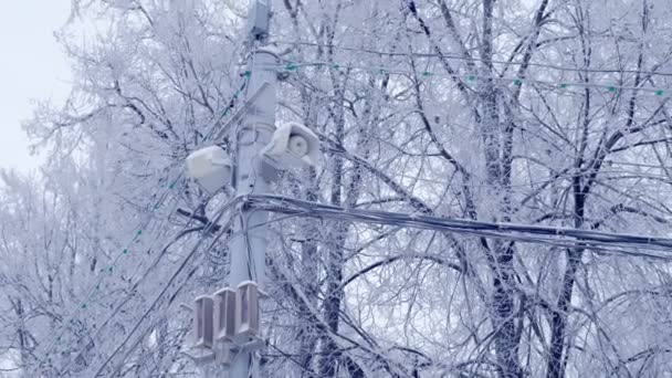 Streetlight lamp en macht lijn op de achtergrond van besneeuwde bomen in de winter. — Stockvideo