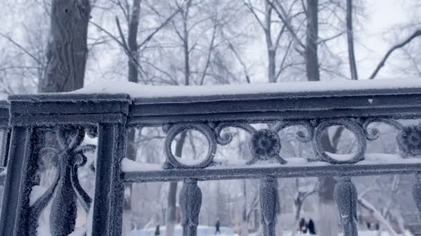 Barandilla de metal cubierta de nieve en el parque de la ciudad . — Vídeo de stock