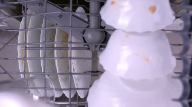 Mans el bulaşık makinesinin üst sepetine beyaz kirli bir fincan koyar ve mutfak ile iter.