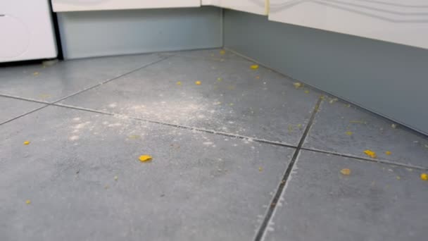 Schmutziger Küchenboden mit Essensresten, Mehl, Cornflakes nach dem Kochen. Nahaufnahme. — Stockvideo