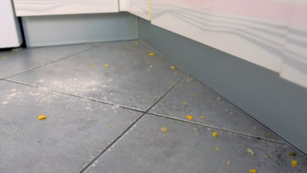 Schmutziger Küchenboden mit Essensresten, Mehl, Cornflakes nach dem Kochen. Nahaufnahme. — Stockvideo