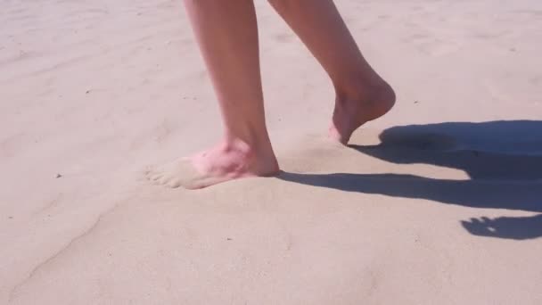 Woman walks barefooted on sand at sea beach resting on vacation, feet in sand. — Stock Video