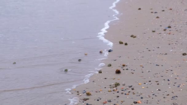 Хвиля і пісок. Спокійне море. Узбережжя Чорного моря. — стокове відео