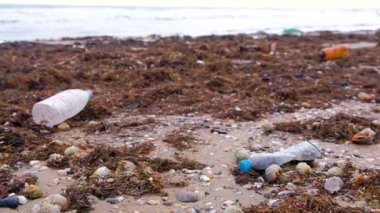 Plastik şişeler, yengeçler ve diğer enkaz kumlu seashore yosun arasında öldü.
