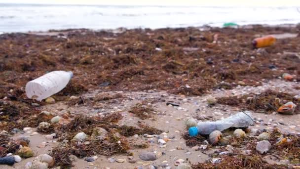 Plastikflaschen, verendete Krebse und andere Abfälle zwischen den Algen am sandigen Meeresufer. — Stockvideo