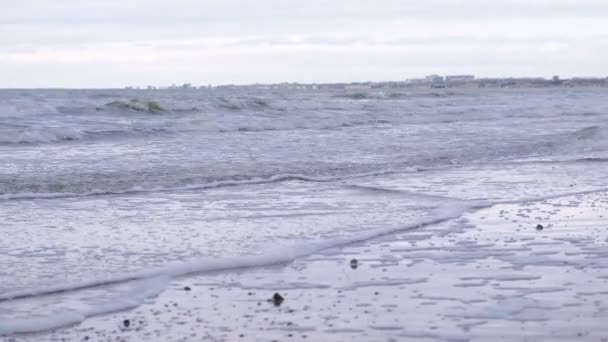 바다에 거품을 가진 폭풍우 치는 파도. 겨울에는 모래 해변. — 비디오