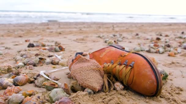 Bota marrón vieja entre las conchas de rapán en la arena en la playa del mar después de la tormenta . — Vídeo de stock