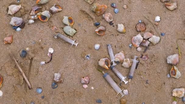 Medical syringes among the rapan shells in sand on sea beach after storm. — Stock Video