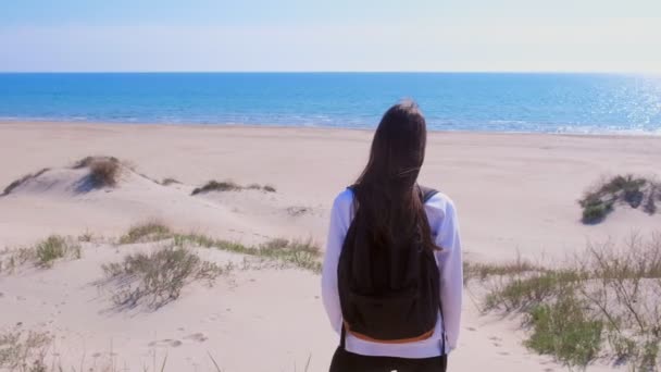 Fata de călătorie standuri pe plaja de nisip printre dune și uita-te la mare vacanță înapoi vedere . — Videoclip de stoc