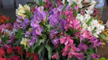 Su damlaları ile vazo taze Azalea çiçekler, çiçek dükkanı çekim görünümü satışı.