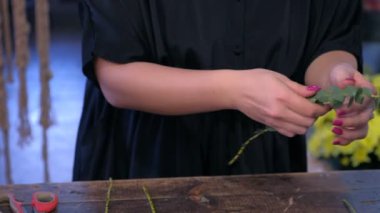 Kadın çiçekçi çiçek dükkanında buket için okaliptüs dalları hazırlar, çekim.