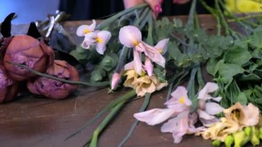 Çiçekçi kadın çiçek dükkanında Eustoma, kahverengi şakayık ve iris buket yapar.
