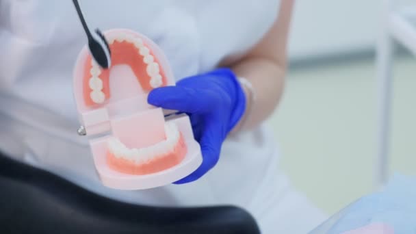 Dentista mostra sul modello mascella come denti puliti con spazzolino da denti, mani primo piano . — Video Stock