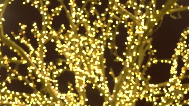 Ramas de árboles envueltas en luces festivas. Luces de Navidad. Vista de cerca, desenfoque . — Vídeos de Stock
