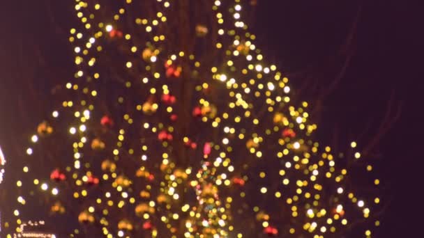 Kerstverlichting en ballen op boom op straat. Vervagen. — Stockvideo