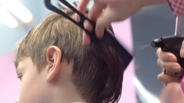 Fryzjer grzebień włosy z szczoteczką do włosów i spryskać go wodą. Widok z tyłu, styliści zbliżenie ręce. — Wideo stockowe