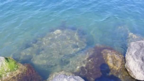 Rocas y algas en el agua de mar y reflejo de la sombra humana en un día soleado en el mar . — Vídeo de stock