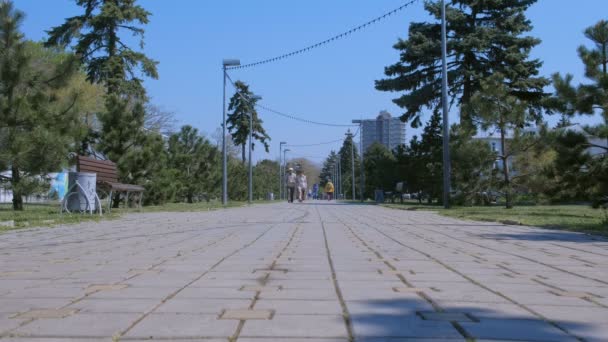 Anapa, Russia, 26-04-2019: People walk down the revolution Avenue street. — Stock Video