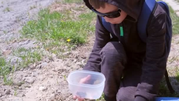 Menino está segurando um recipiente de plástico com um sapo preso nele . — Vídeo de Stock