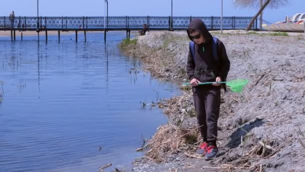 Menino está catando rãs no rio usando rede de borboleta, mas salta para fora . — Vídeo de Stock