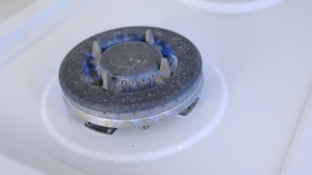 Aardgas ontsteking in de kachel brander. Gasverbranding van een kook gasfornuis in een grote brander. — Stockvideo