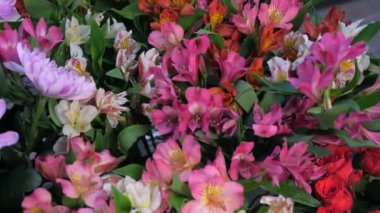 Satılık çiçekçi vazolar çiçek güzel farklı türde, closeup.