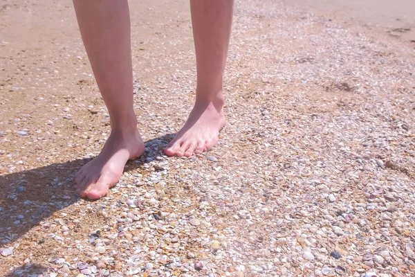 Descalza mujer camina sobre conchas de mar en playa de arena hace naturaleza pies masaje . —  Fotos de Stock