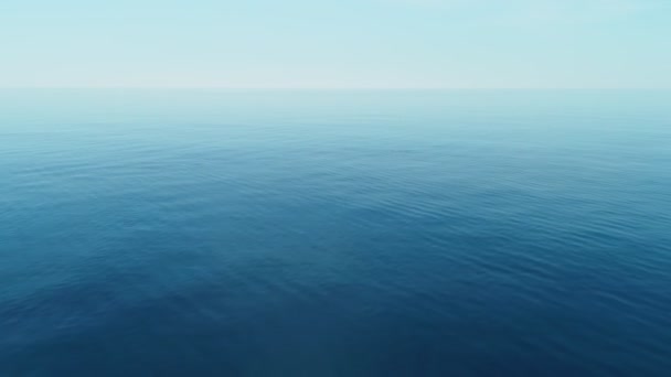 Морской фон с дельфинами, пролетающими над бирюзовой водой в спокойном море. Концепция путешествия . — стоковое видео