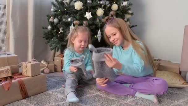 Dwie dziewczyny siostry bawią się dziane skarpetki fo prezentuje w pobliżu choinki. — Wideo stockowe