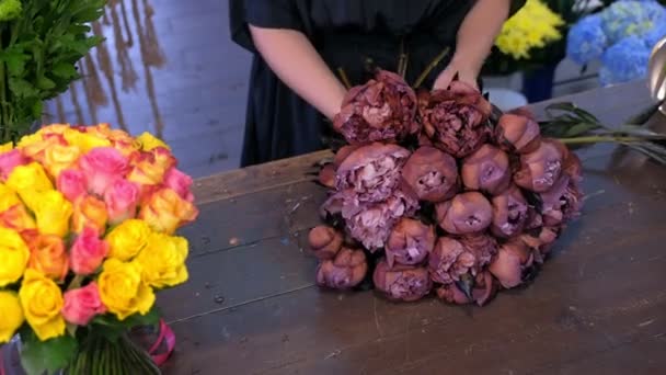 Florist woman works makes bouquet of brown maroon color peonies in flower shop. — Stock Video