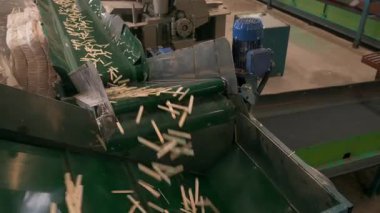 Tahta dondurma çubukları marangozluk fabrikasındaki nakliye bandına dökülüyor. Kereste atölyesinde endüstriyel üretim. Endüstriyel atölye kereste otomatikleştirilmiş üretim hattı makineleri.