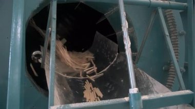 Dondurma ahşap çubukları otomatikleştirilmiş marangoz fabrikasındaki taşıma bandına düşüyor. Kereste fabrikasında endüstriyel üretim. Atölye kereste makineleri süreci.