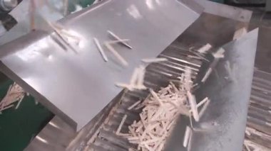 Tahta dondurma çubuklarını ahşap fabrikasının atölyesinde taşıyıcı bant taşıyor. Üretim hattı olan otomatik makine ekipmanları. Sanayi üretimi: Ahşap ürünler, kereste, fabrikada kereste..