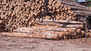 Kazıcı kereste işleme tesisinde odun yığınından odun çıkartıyor. Otomatik makine ekipmanları üretim hattında. Tahta ürünlerin endüstriyel üretimi, kereste fabrikasının kereste üretimi.