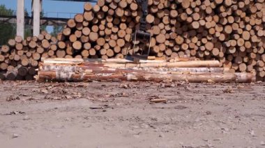 Kazıcı kereste işleme tesisinde odun yığınından odun çıkartıyor. Otomatik makine ekipmanları üretim hattında. Tahta ürünlerin endüstriyel üretimi, kereste fabrikasının kereste üretimi.