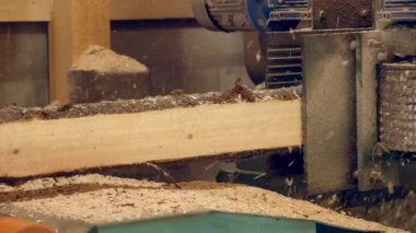 İşlenmemiş kütükler nakliye aracıyla marangozhanedeki kesme makinesine doğru hareket ediyor. Kereste işleme ve marangozluk endüstrisi. Kesme atölyesindeki kereste fabrikasında tahta testeresi kesme işlemi.