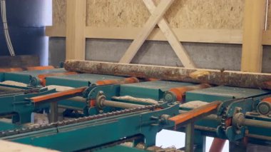 Tahta fabrikasındaki kesme makinesine giden taşıyıcı üzerindeki kayıtlar. Kereste işleme ve marangozluk endüstrisi. Kesme atölyesindeki testere fabrikasında çiğ ahşap tahtaları kesme işlemi.