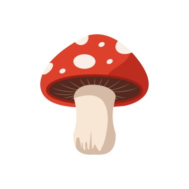 Cartoon fly agaric mushroom, red amanita muscaria. Poisonous fall or autumn forest mushroom. Hand drawn vector illustration isolated on white background