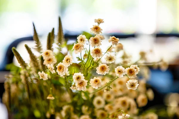 Beyaz kır çiçekleri toplanan alanında bir buket bir suyudur