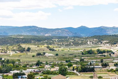 Tipik İspanyol manzara: üzüm bağları, alanlar, dağlar, gökyüzü