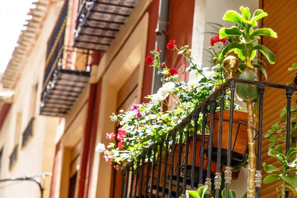 Flores Rojas Colgando Macetas Ventana — Foto de Stock