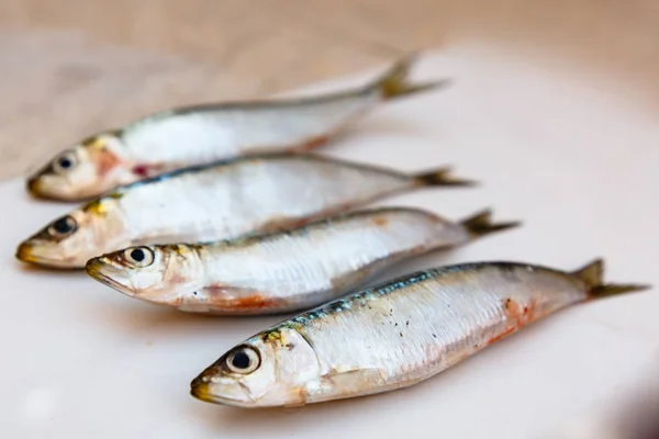 Frische Rohe Sardinen Auf Weißem Hintergrund — Stockfoto