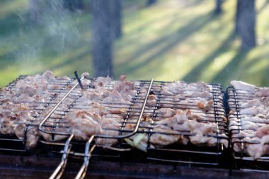Barbekü tavuk veya et ızgara kömürlerin üzerinde kızarmış