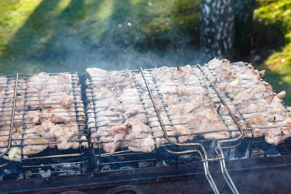 Frango Grelhado Carne Frita Grelha Das Brasas — Fotografia de Stock